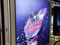 -远大购物中心(南岗店)