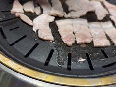 -杨小佳·齐齐哈尔烤肉·烤串(广州店)