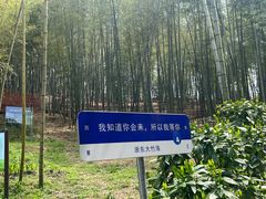 -宁波浙东大竹海景区