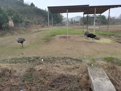 -宁波野生动物园