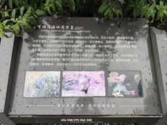 -贡湖湾湿地公园