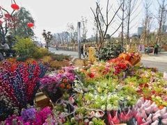 -三圣花乡旅游区