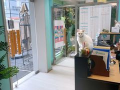-雨林宠物医院 非犬猫异宠专科