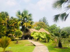 -中国科学院西双版纳热带植物园