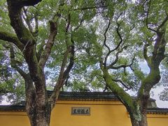-西园戒幢律寺