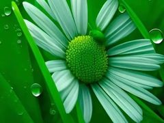 -COSTA COFFEE(龙德广场店)