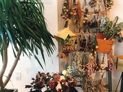 -植物学家的女儿(北马道巷店)