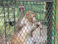 -藏龙百瀑风景区