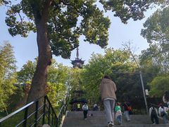 -上海佘山国家森林公园西佘山园