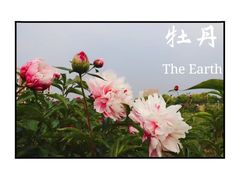 -中国药科大学（江宁校区）-图书馆