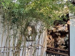 -芥子园