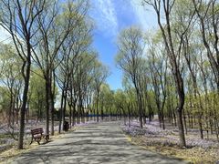 -东郊湿地公园