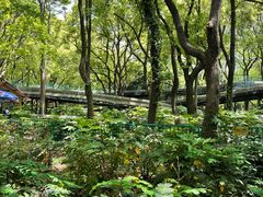 -上海共青森林公园