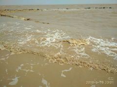 -南汇嘴观海公园