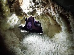 -湖南省地质博物馆