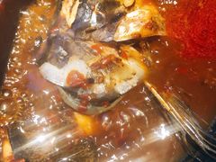 半个鱼头-老天桥蛙炉火锅(姑苏总店)