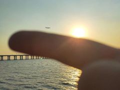 -宝安西湾红树林湿地公园