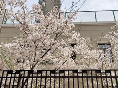 -南京市芳草园小学(凤凰校区)