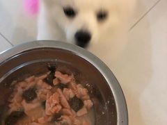 -虎焱炭火烧肉