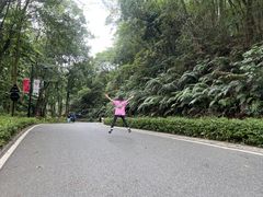 -广州市帽峰山景区