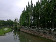 -温江公园