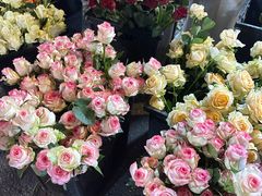 -循礼门鲜花花市(武汉循礼门店)