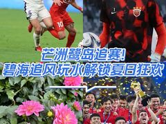-芒洲湿地公园
