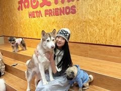 -和它·交个朋友·狗咖猫咖(爱琴海店)