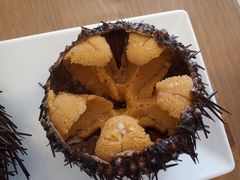 -海胆小馆(东北水饺·春柳店)