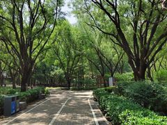 -古塔公园