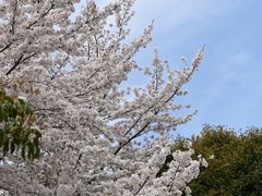 -苏州上方山国家森林公园
