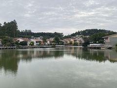 -明珠海港大酒店