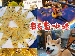 -老幺泉水鸡