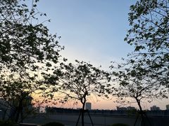 -广州粤海喜来登酒店