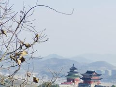 -黄贤森林公园