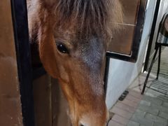 -宁海安岚·南溪阁全日餐厅