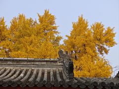 -承恩寺