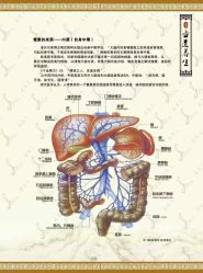 -可丽可心身材管理中心