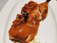 -沪碟·精菜坊(闵行店)
