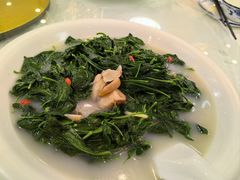 -津津菜馆(绝没分店)