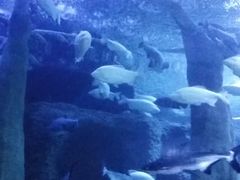 -成都浩海立方海洋公园