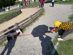 -前小桔亲子创意农场·草莓采摘·露营烧烤