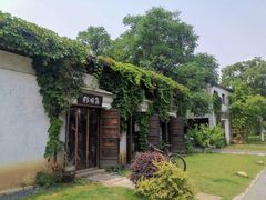 -田园东方蜜桃村的田野营地