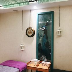 -健身堂科技美肌SPA