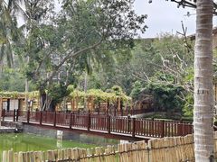 -三亚亚龙湾红树林度假酒店