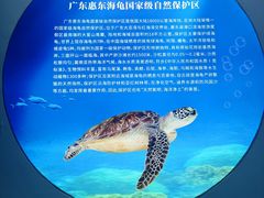 -广东惠东海龟国家级自然保护区