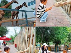 -水上乐园·欢乐世界