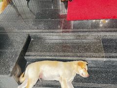 -途中饭店(开化店)