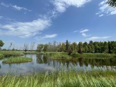 -野鸭湖国家湿地公园