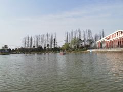 -上海长兴岛郊野公园